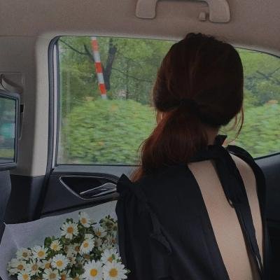 什么鸟日子